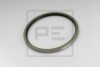 PE Automotive 031.176-00A Shaft Seal, wheel bearing